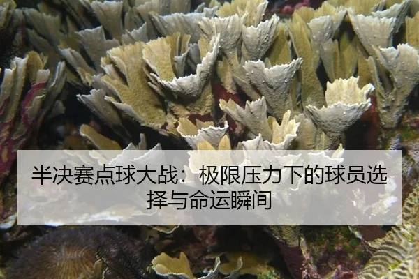 半决赛点球大战：极限压力下的球员选择与命运瞬间
